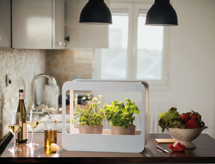 romberg Mini-Garten mit LED-Beleuchtung